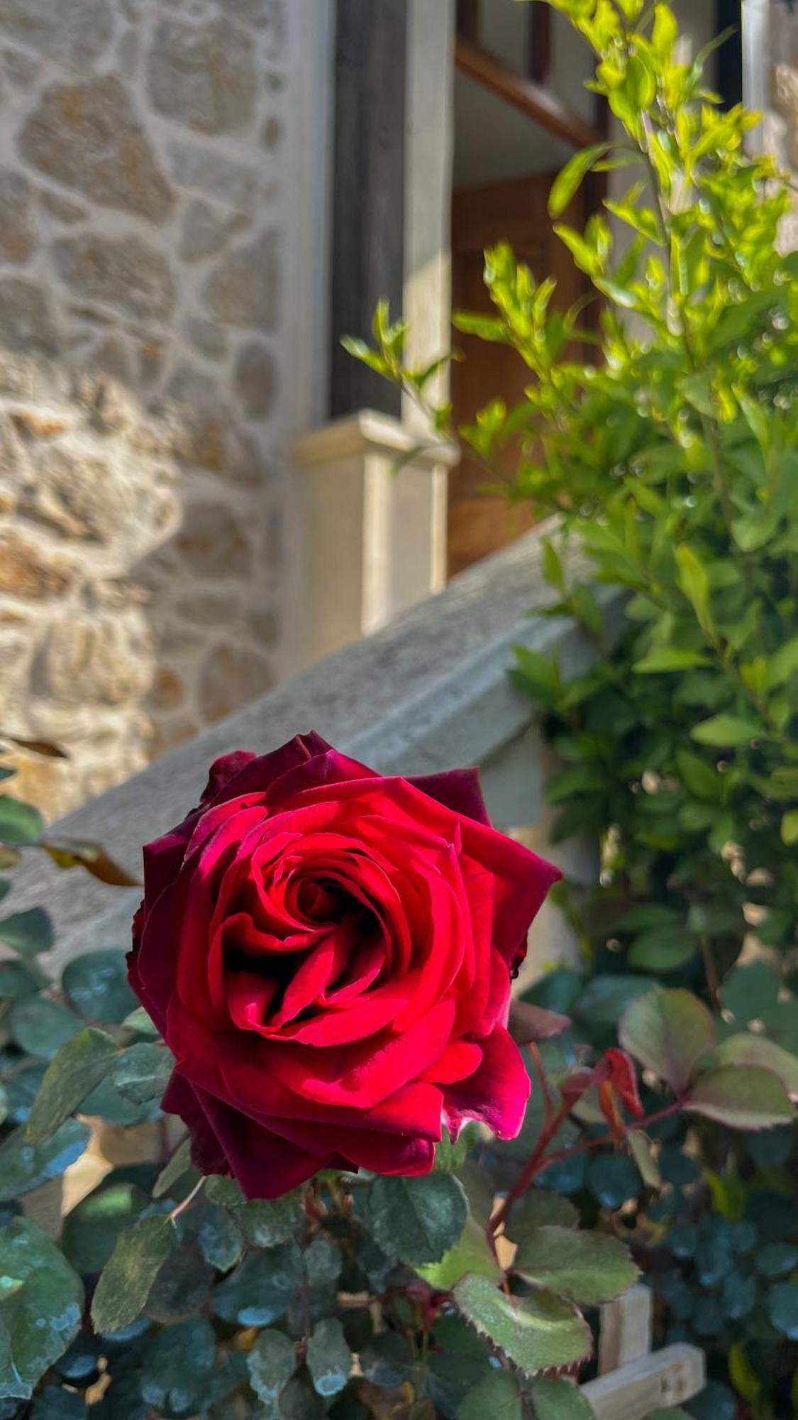 La Thebaide Bed & Breakfast Grasse Bagian luar foto